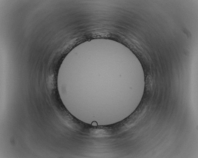 X0000112800224200910021126