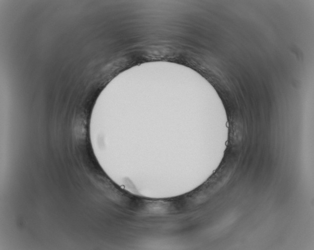 X0000112800226200910021126
