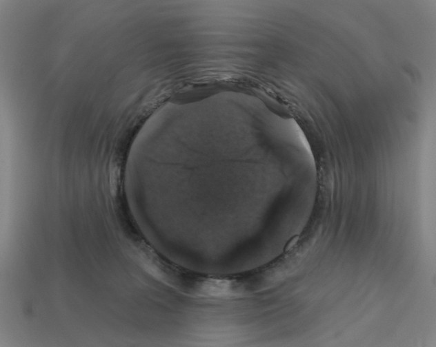 X0000112800227200910021126