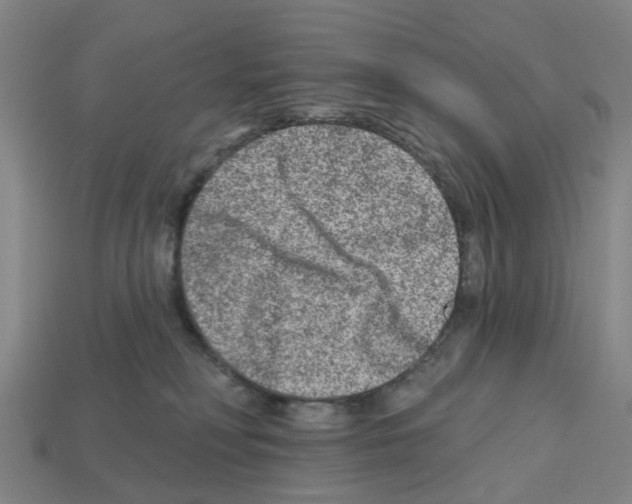 X0000112800230200910021126