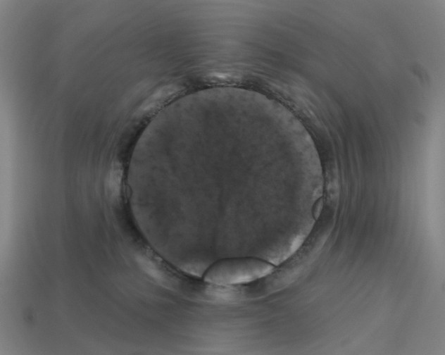 X0000112800231200910021126