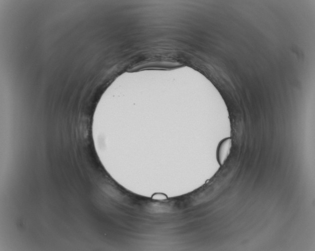 X0000112800232200910021126