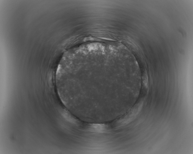 X0000112800233200910021126