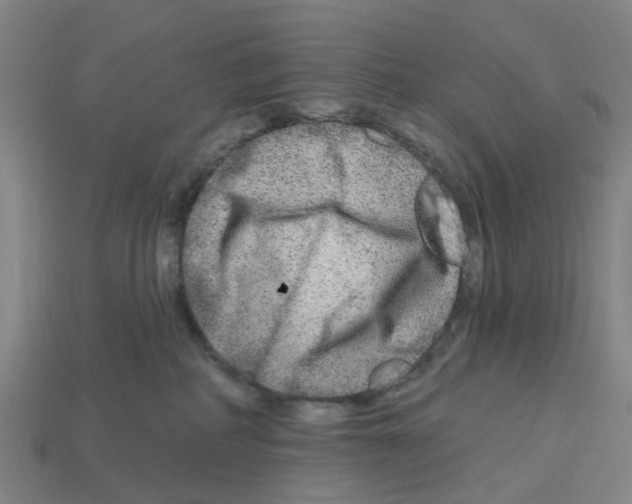 X0000112800234200910021126