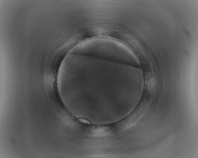 X0000112800235200910021126