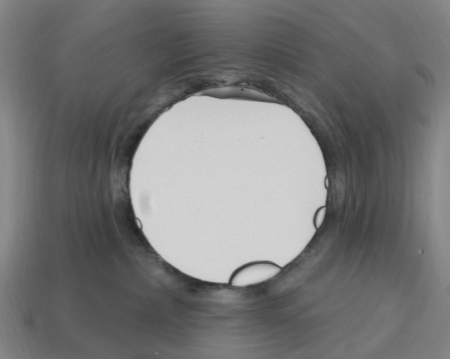 X0000112800236200910021126