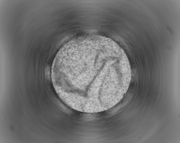 X0000112800238200910021126