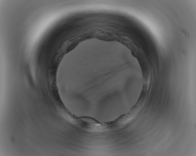 X0000112800239200910021126