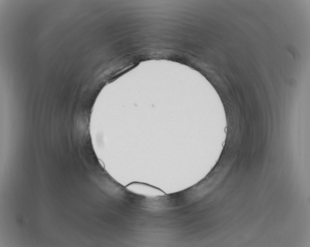 X0000112800240200910021126