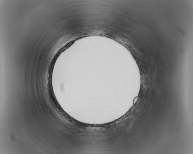 X0000112800242200910021125
