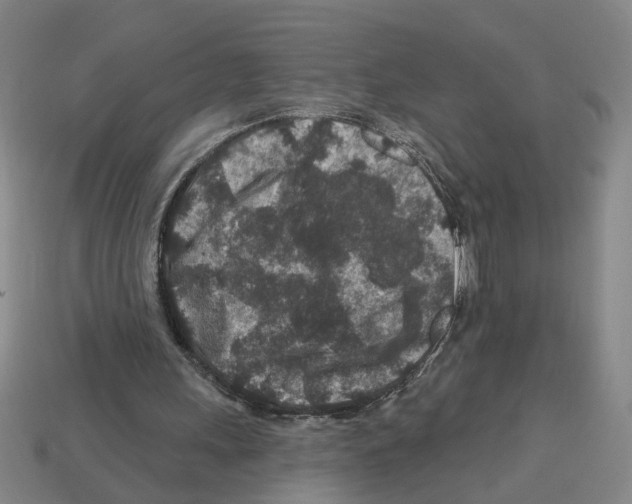 X0000112800243200910021125