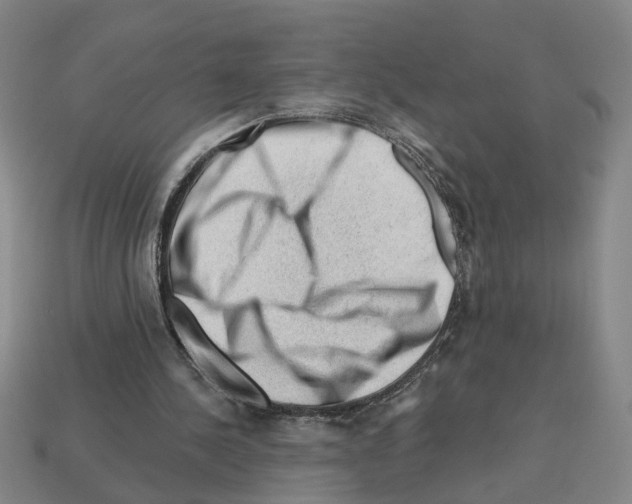 X0000112800244200910021125