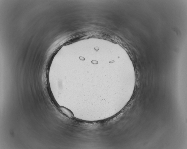 X0000112800245200910021125