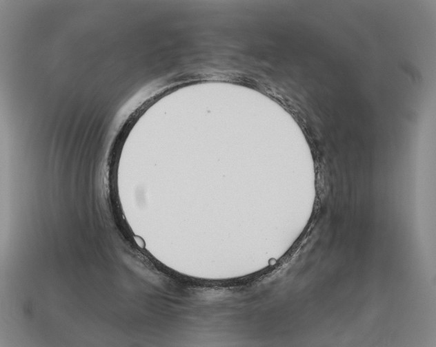 X0000112800246200910021125