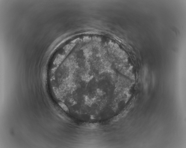 X0000112800247200910021125