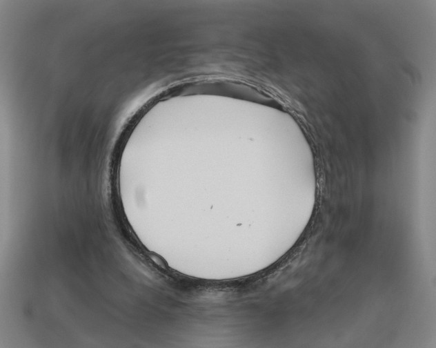 X0000112800248200910021125
