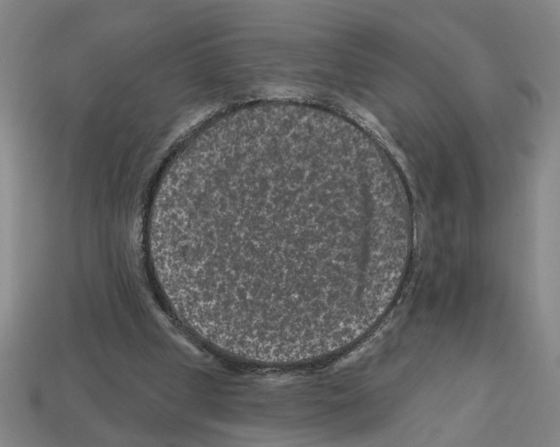 X0000112800249200910021125