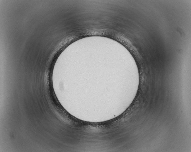 X0000112800250200910021126