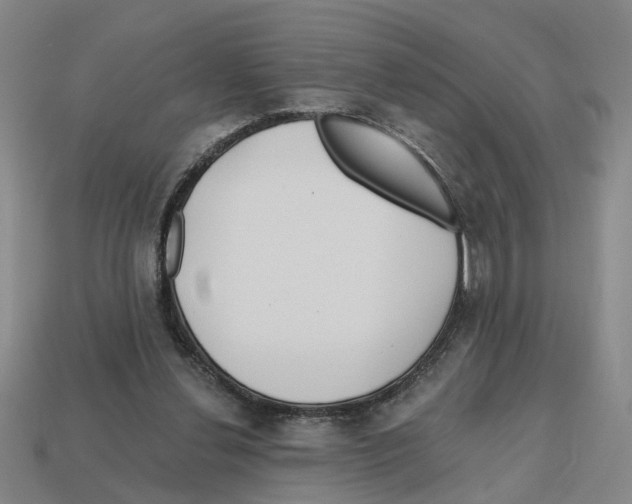 X0000112800252200910021126