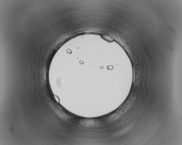 X0000112800253200910021126