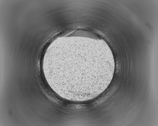 X0000112800254200910021126