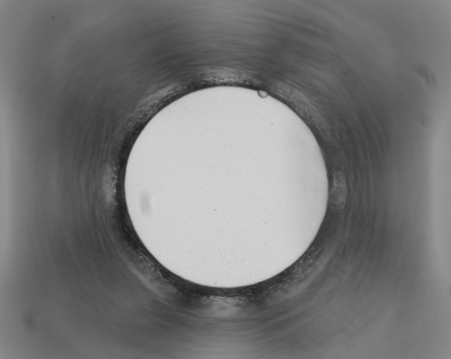 X0000112800255200910021126