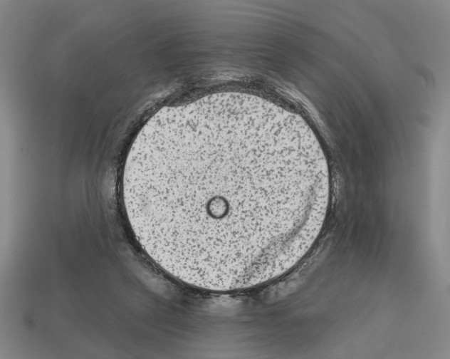 X0000112800257200910021126