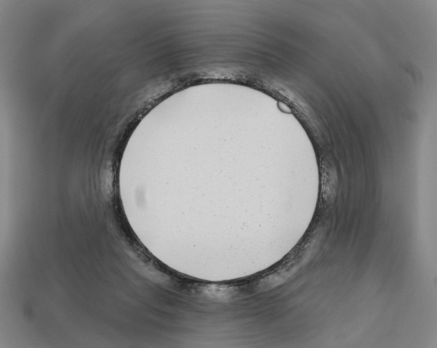 X0000112800261200910021126