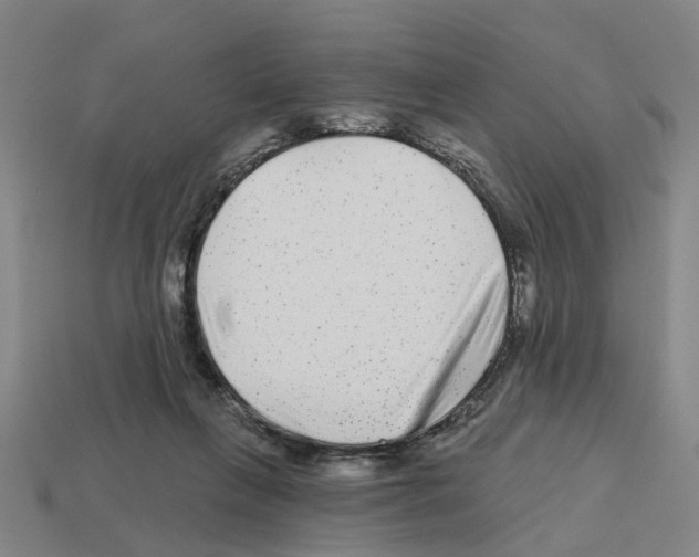 X0000112800263200910021126