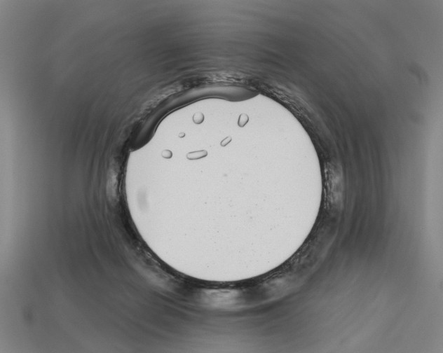 X0000112800266200910021126
