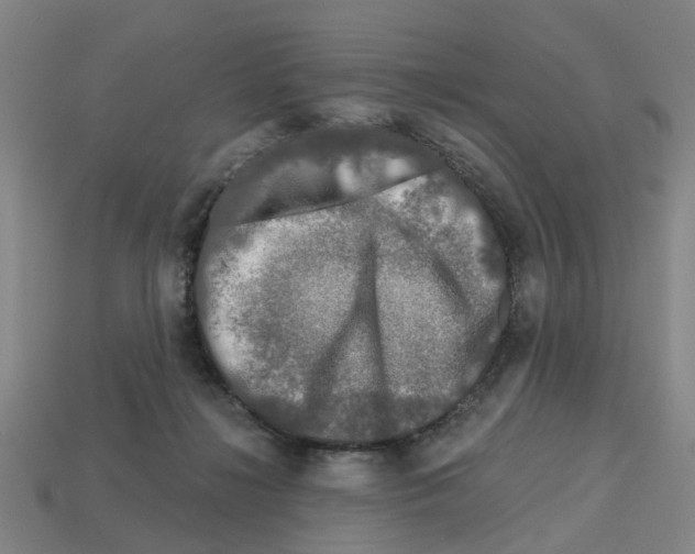 X0000112800268200910021126