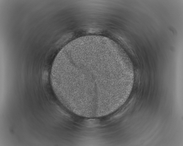 X0000112800269200910021126
