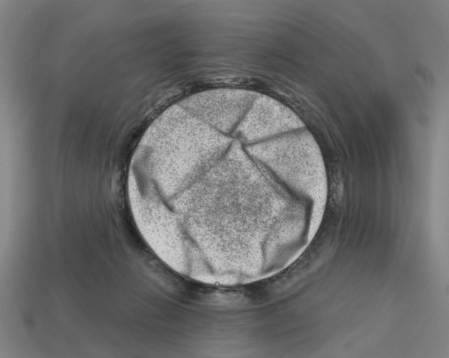 X0000112800270200910021126