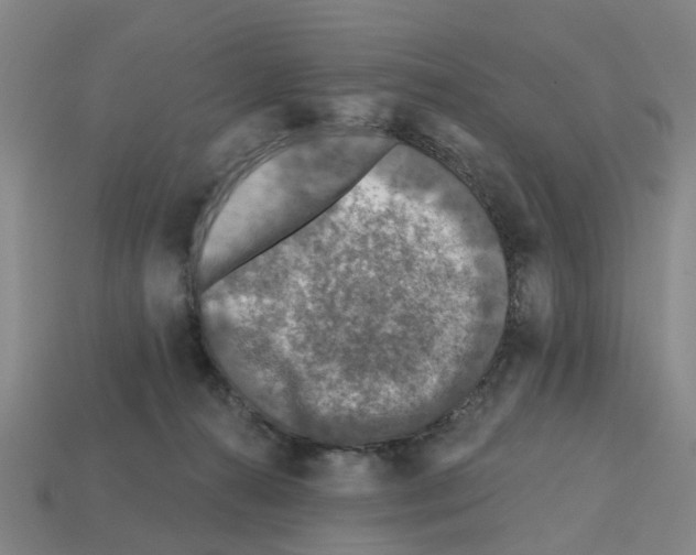 X0000112800272200910021126