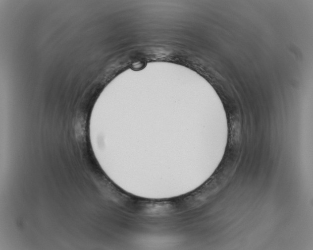 X0000112800274200910021126