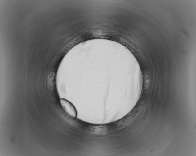 X0000112800275200910021126