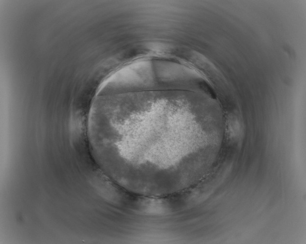 X0000112800276200910021126