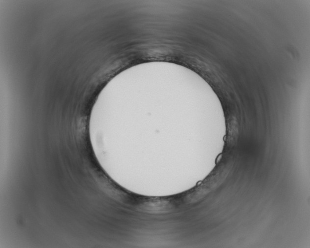 X0000112800278200910021126