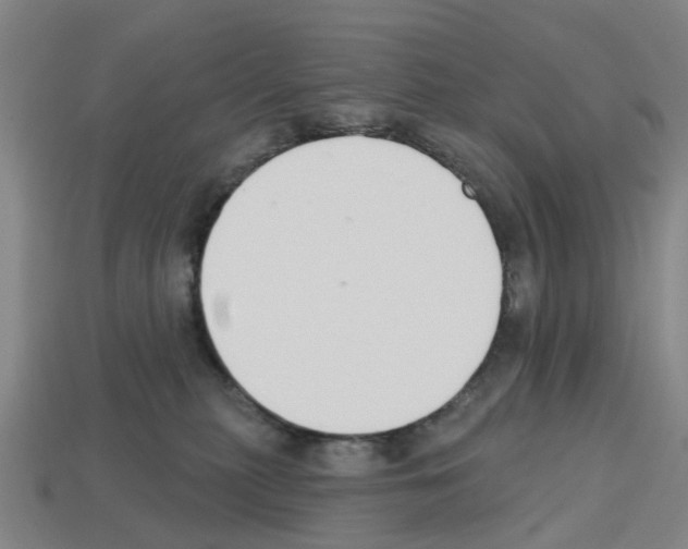 X0000112800279200910021126