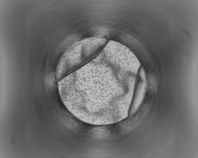 X0000112800280200910021126