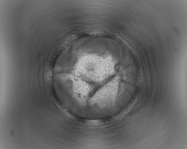 X0000112800281200910021126