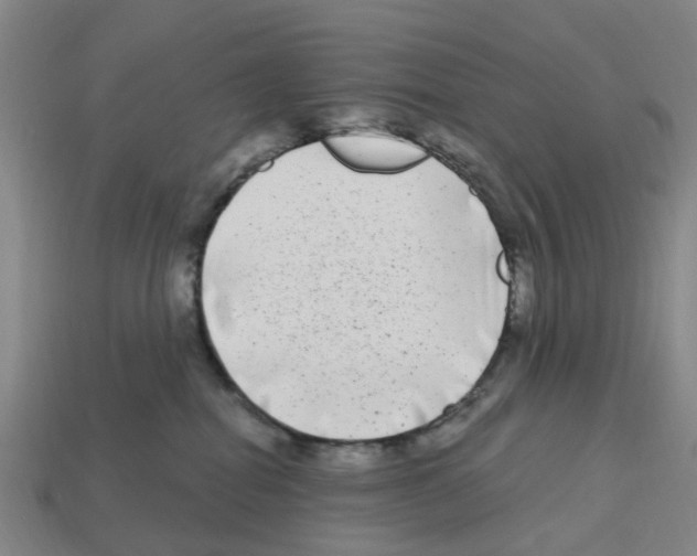 X0000112800282200910021126