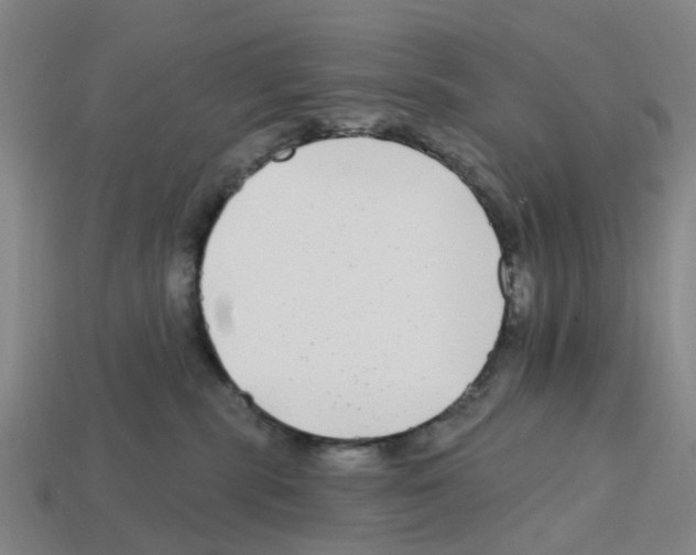 X0000112800283200910021126