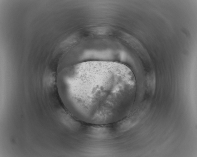 X0000112800284200910021126