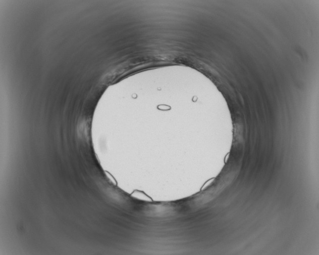 X0000112800286200910021126