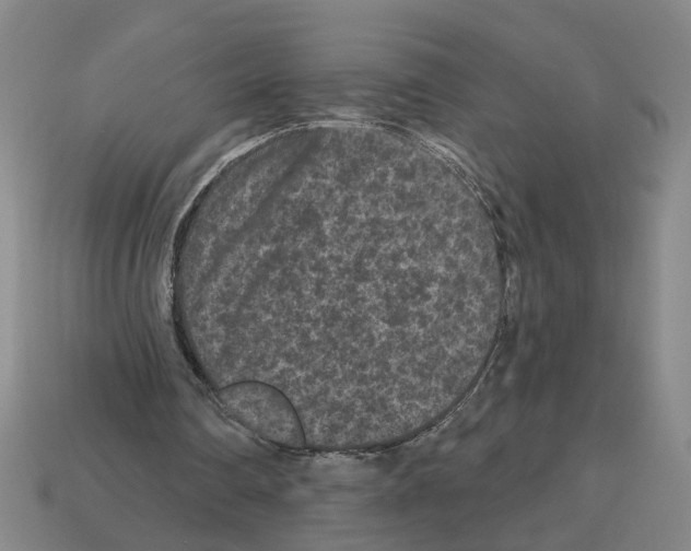 X0000112800290200910021125