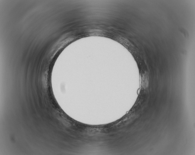 X0000112800291200910021125
