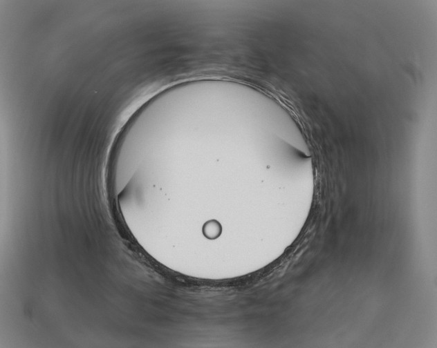 X0000112800292200910021125