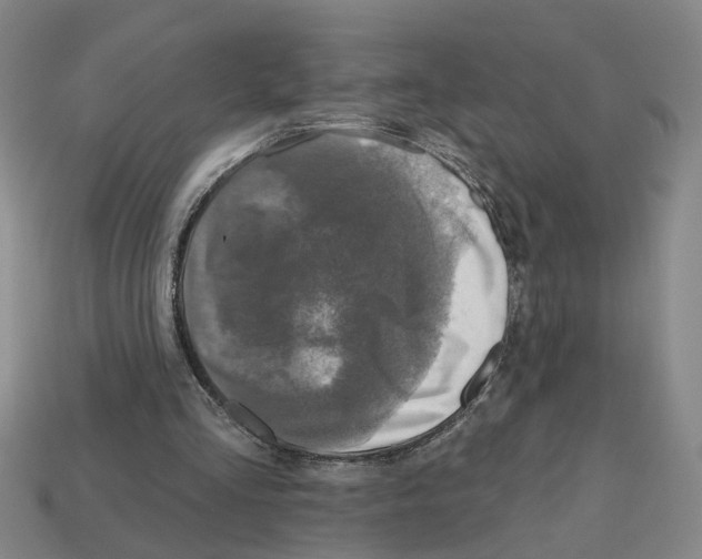 X0000112800293200910021125