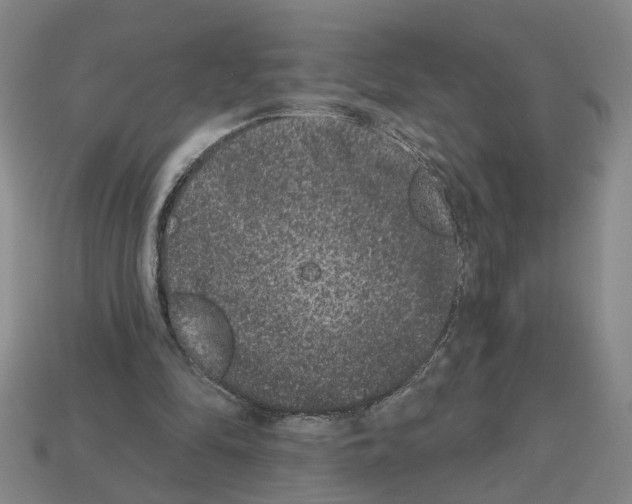 X0000112800294200910021125